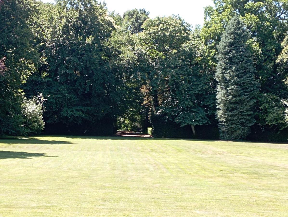 Chateau Du Bois-Riou Quévert Exteriör bild